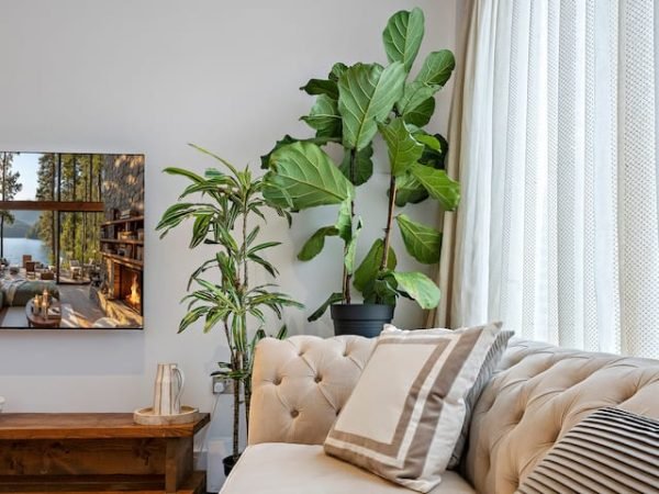 616a7917-a1a0-4d71-8a38-0b3987883033